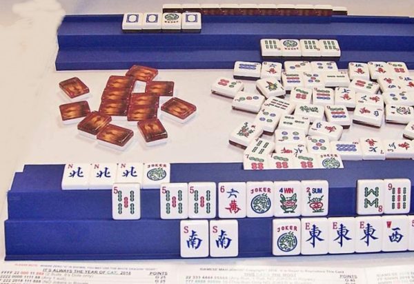 BLUE STYRENE DOUBLE SIAMESE RACKS with Asian Pusher
