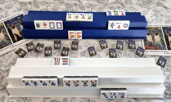 BLUE STYRENE DOUBLE SIAMESE RACKS with Asian Pusher - Image 3