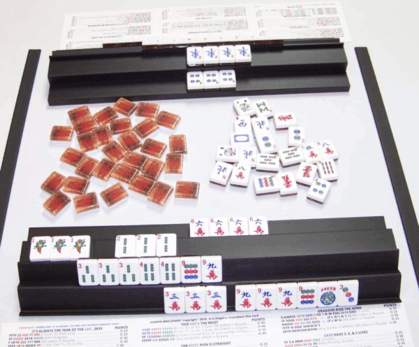 BLUE STYRENE DOUBLE SIAMESE RACKS with Asian Pusher - Image 4